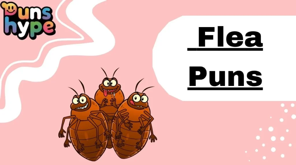 Flea Puns