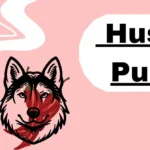 Husky Puns