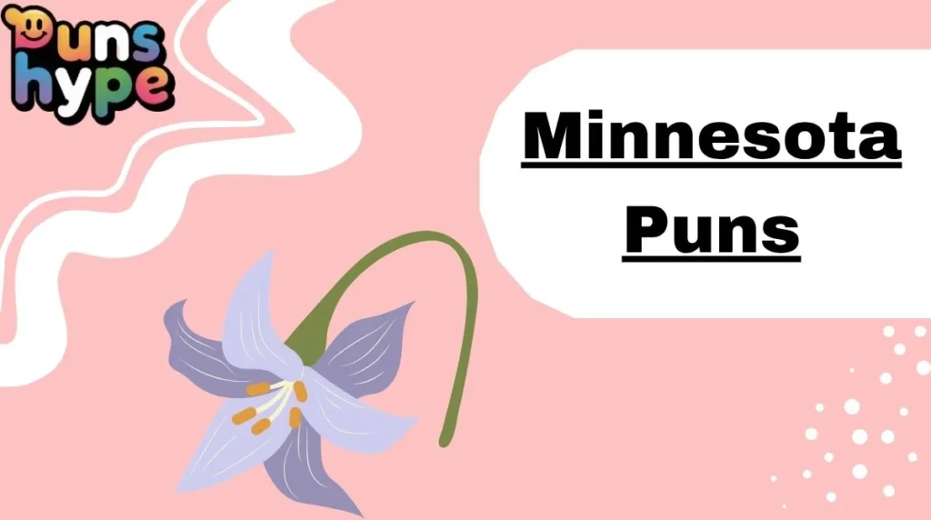 Minnesota Puns