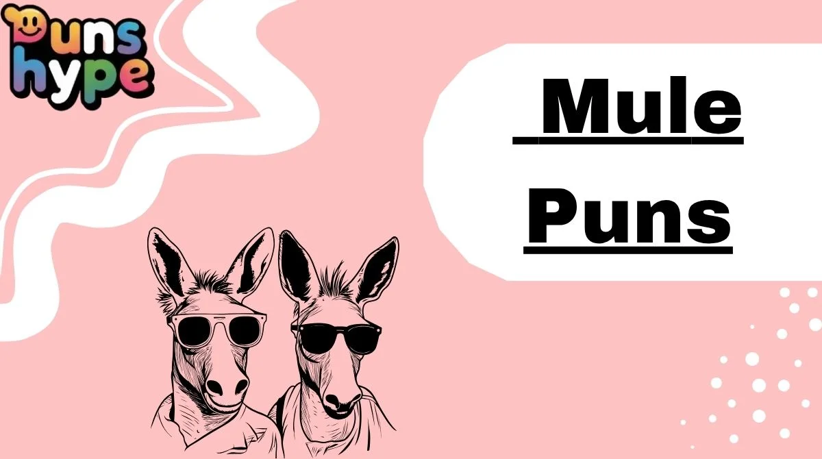 Mule Puns