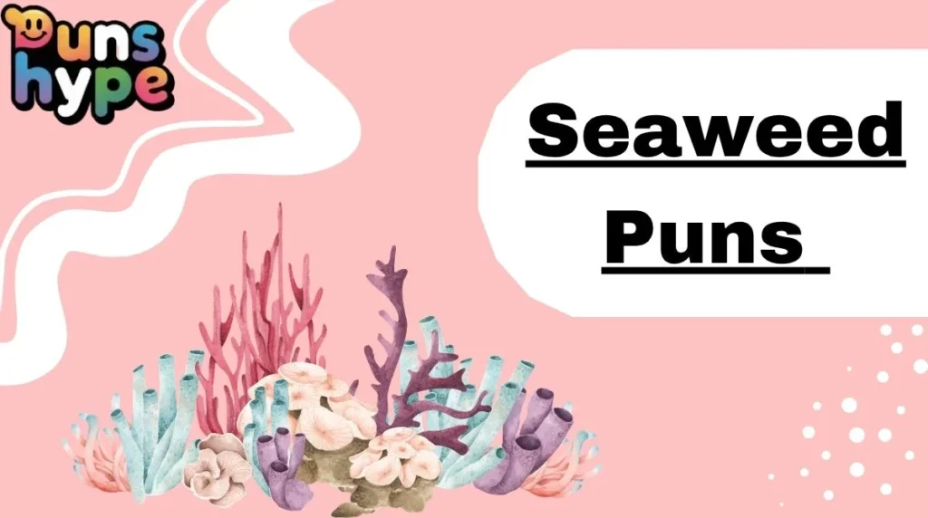 Seaweed Puns