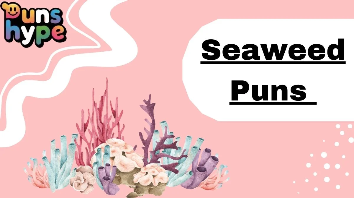 Seaweed Puns