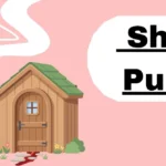 Shed Puns