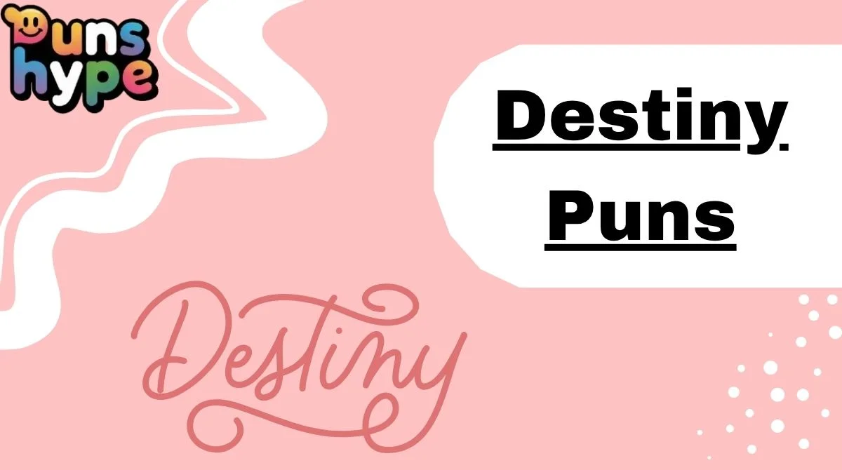 Destiny Puns