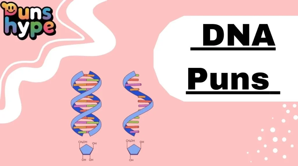 DNA Puns