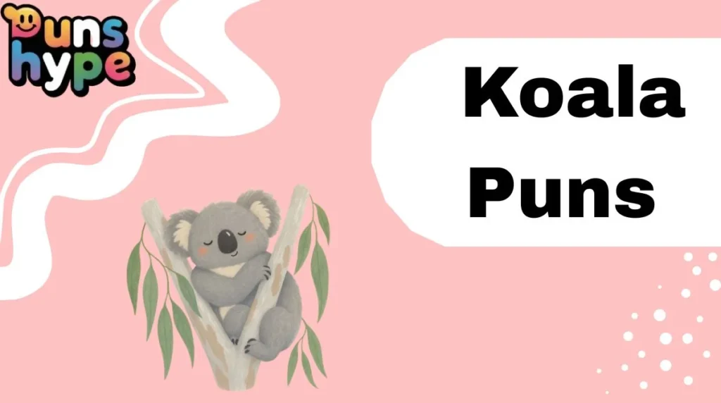 Koala Puns