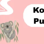 Koala Puns