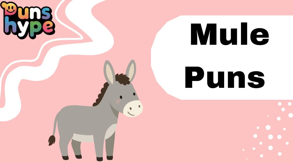 Mule Puns