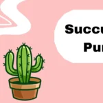 Succulent Puns